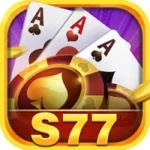 S77 Game